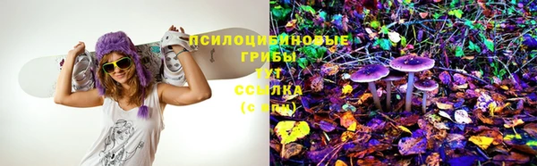 круглые Зеленокумск