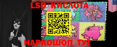 кокс Кингисепп