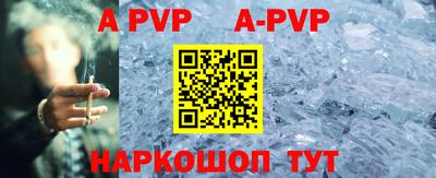 кокс Кингисепп