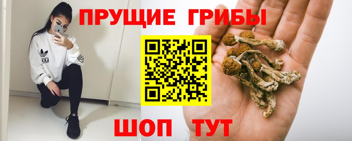 Первоуральск  Галлюциногенные грибы GOLDEN TEACHER  Псилоцибиновые грибы Cubensis  Вход с VPN 